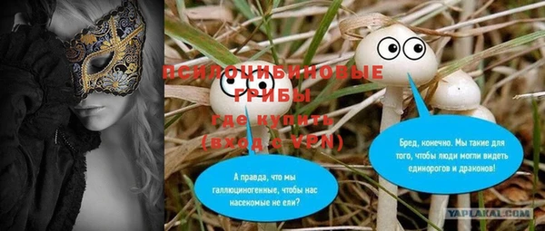 МДПВ Гусь-Хрустальный