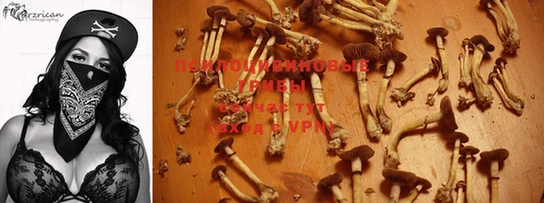 герыч Гусиноозёрск