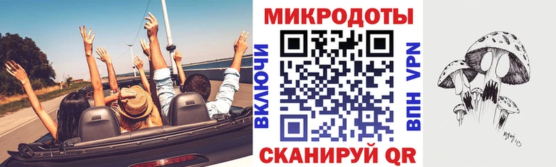 Галлюциногенные грибы Psilocybine cubensis  Гвардейск 