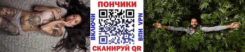 наркота omg Марихуана OG Kush Гвардейск